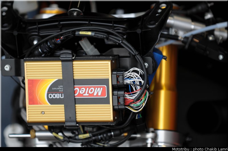 paddock_21