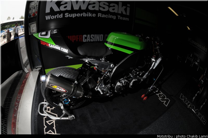 paddock_25