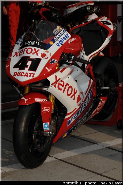 paddock_33