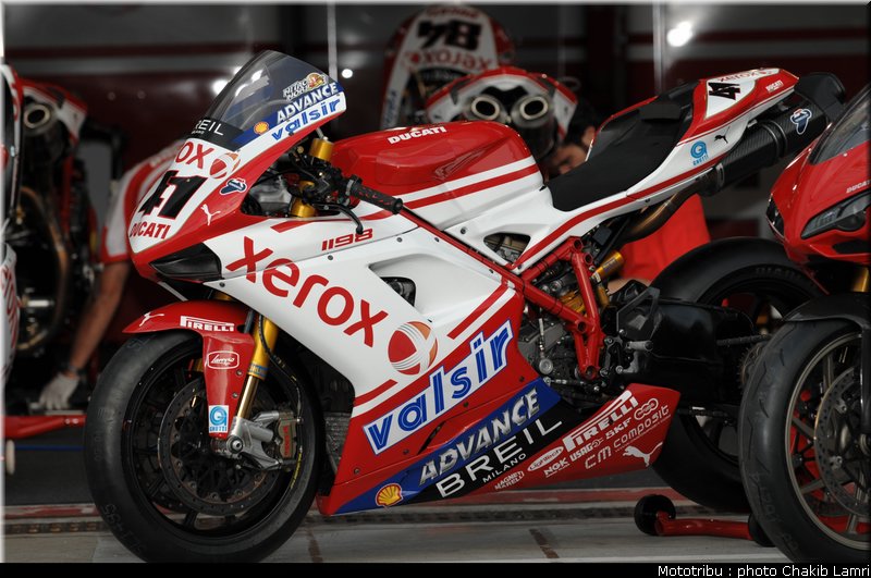 paddock_37