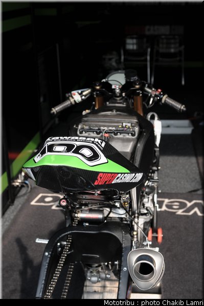 paddock_41