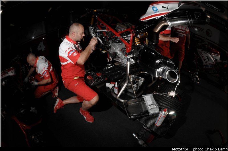 paddock_45