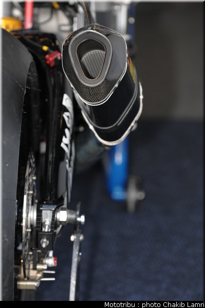 paddock_55