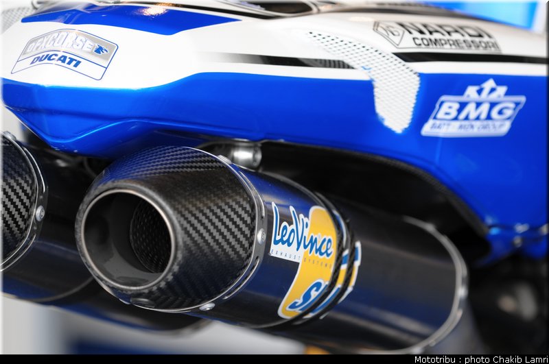 paddock_56