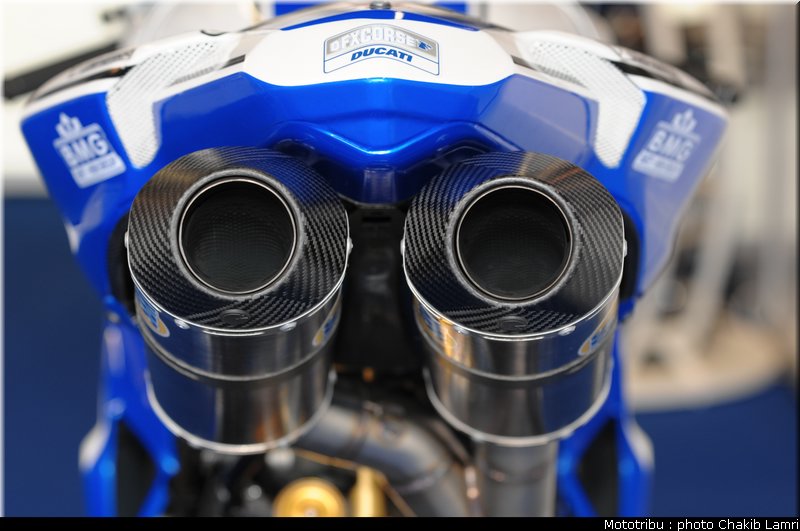paddock_57