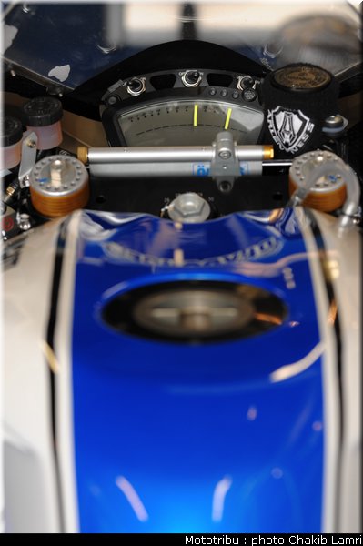 paddock_58