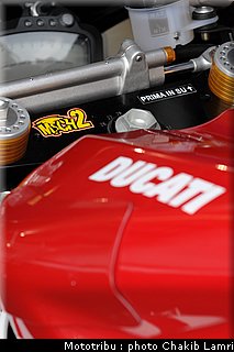 paddock_06.JPG