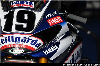 paddock_10.JPG