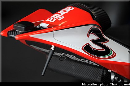 paddock_13.JPG