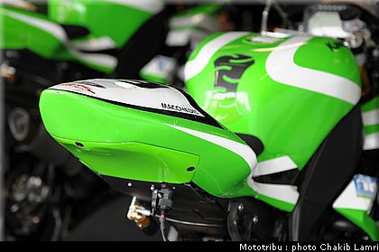 paddock_18.JPG