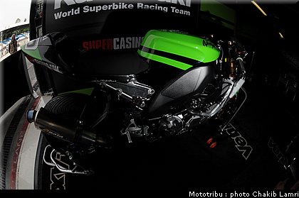 paddock_26.JPG