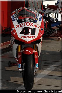 paddock_32.JPG