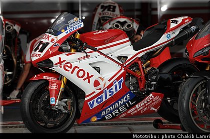 paddock_37.JPG