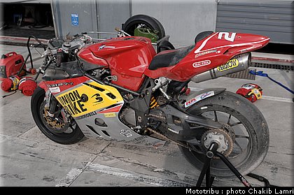 paddock_42.JPG