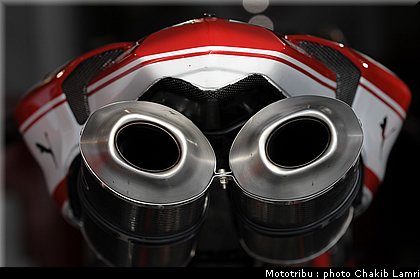 paddock_47.JPG