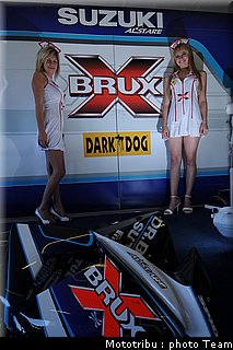 pitbabes_3.jpg