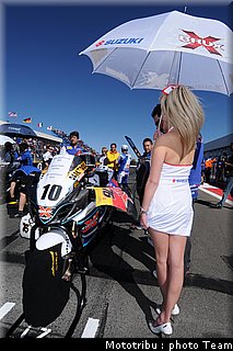 pitbabes_5.jpg