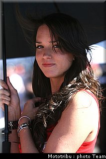 pitbabes_7.jpg
