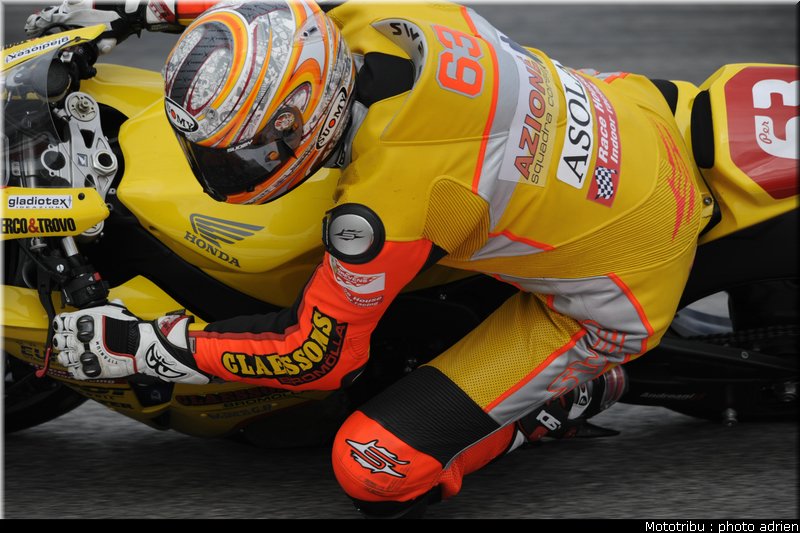 stk1000_bjork