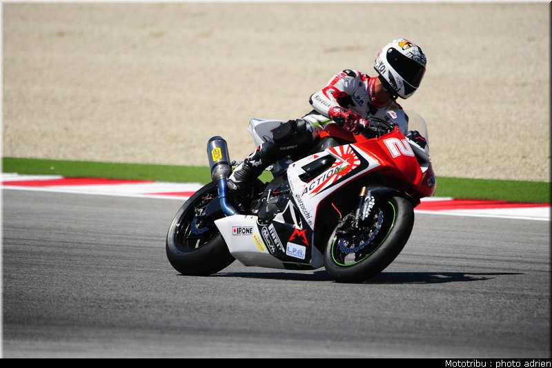 stk1000_morelli_1