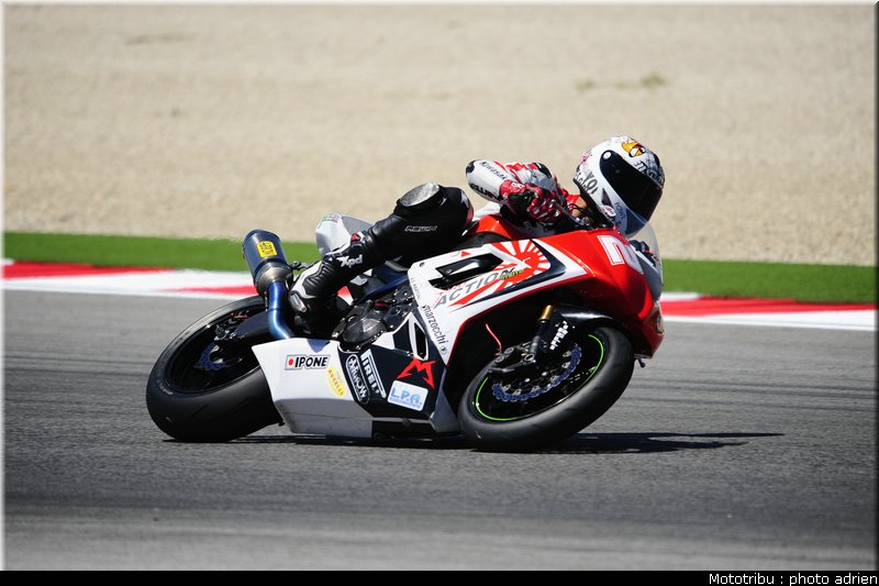 stk1000_morelli_2