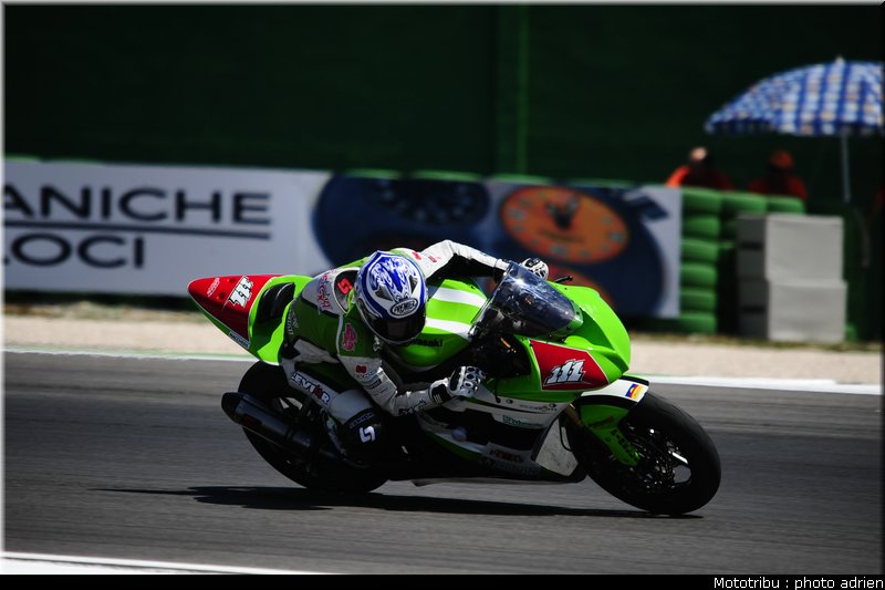 stk1000_ortega_1