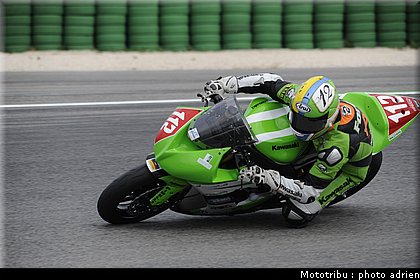 stk1000_fores.JPG