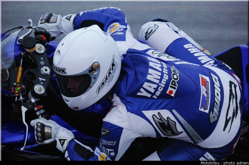stk600_guarnoni_08