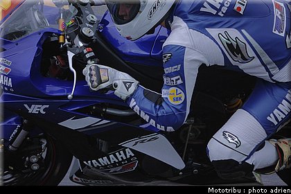 stk600_guarnoni_06.jpg