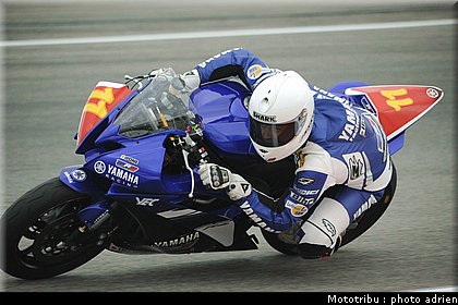 stk600_guarnoni_15.jpg