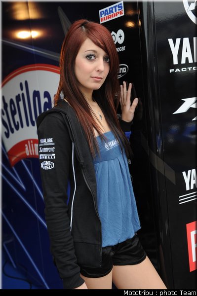 0323_pitbabe_1_france_2009_3