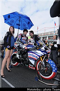 0327_pitbabe_1_france_2009_7.jpg