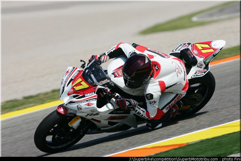 stk600_carvalho_valence_2010