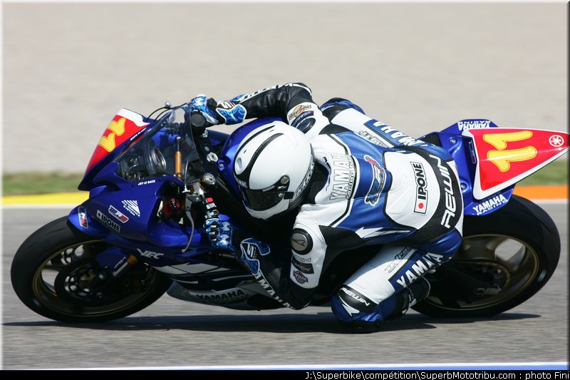 stk600_guarnoni_1_valence_2010