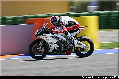 stk1000_jezek_valence_2010.JPG