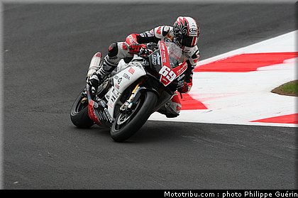1000stk_jezek_1_monza_2010.JPG