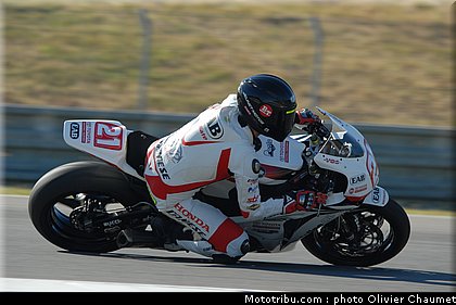 1000stk_berger_2_tchequie_2010.JPG