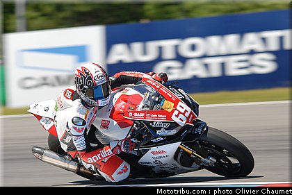 1000stk_jezek_2_tchequie_2010.JPG