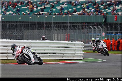 1000stk_berger_01_angleterre_2010.JPG