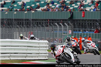 1000stk_berger_02_angleterre_2010.JPG