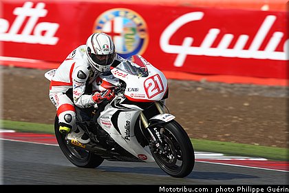 1000stk_berger_07_angleterre_2010.JPG