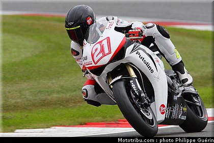 1000stk_berger_11_angleterre_2010.JPG