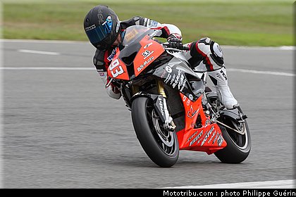 1000stk_lussiana_1_angleterre_2010.JPG