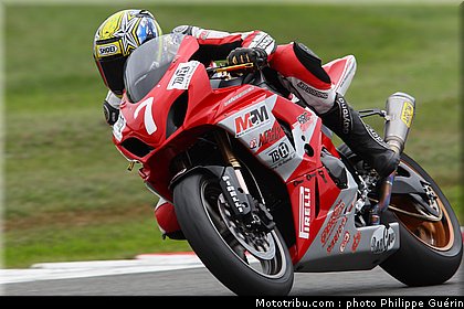 1000stk_mahr_2_angleterre_2010.JPG