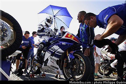 600stk_guarnoni_5_angleterre_2010.JPG