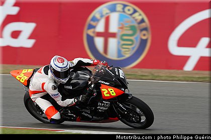 600stk_lecoquen_1_angleterre_2010.JPG
