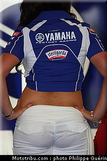 sbk_pitbabe_38_angleterre_2010.JPG