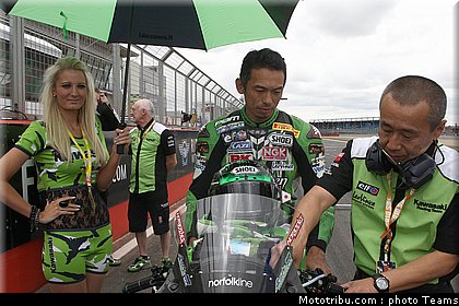 sbk_pitbabe_020_angleterre_2010.jpg