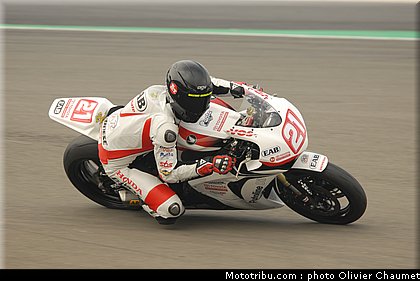 1000stk_berger_1_allemagne_2010.JPG