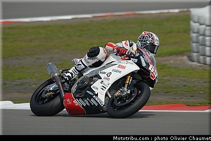 1000stk_jezek_3_allemagne_2010.JPG